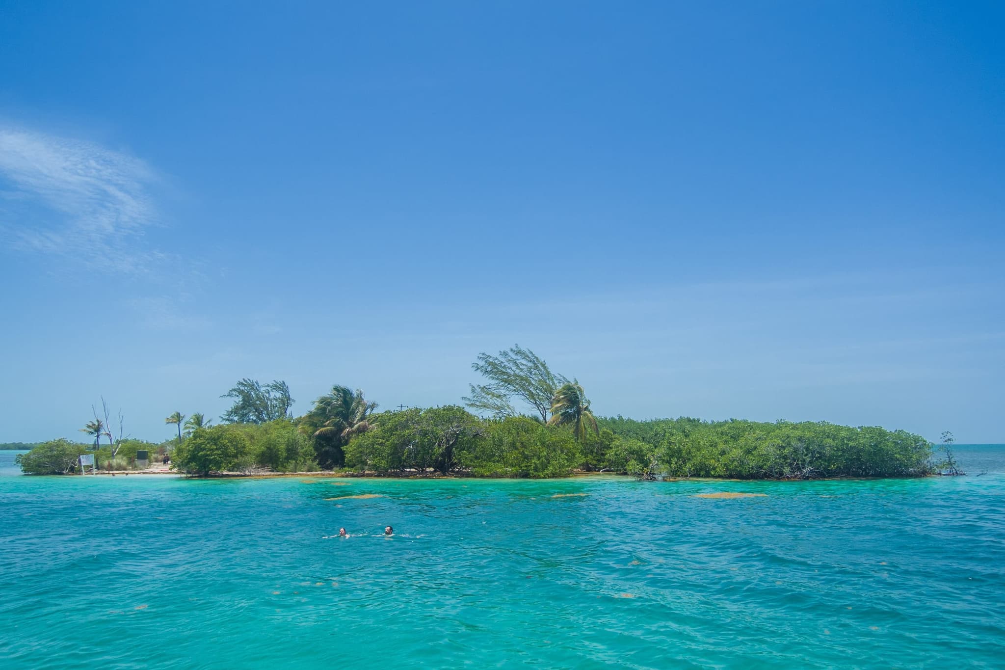 The Split bij Caye Caulker in Belize: een laag eiland met mangroven en door de wind gebogen palmen, met twee zwemmers in het turquoise water ervoor.