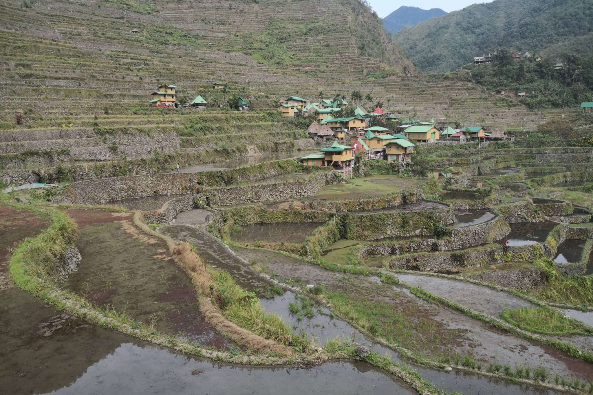 The rice terraces near Banaue in northern Luzon: stone terraces full of water, with a village of wooden houses with green roofs on the mountainside above.