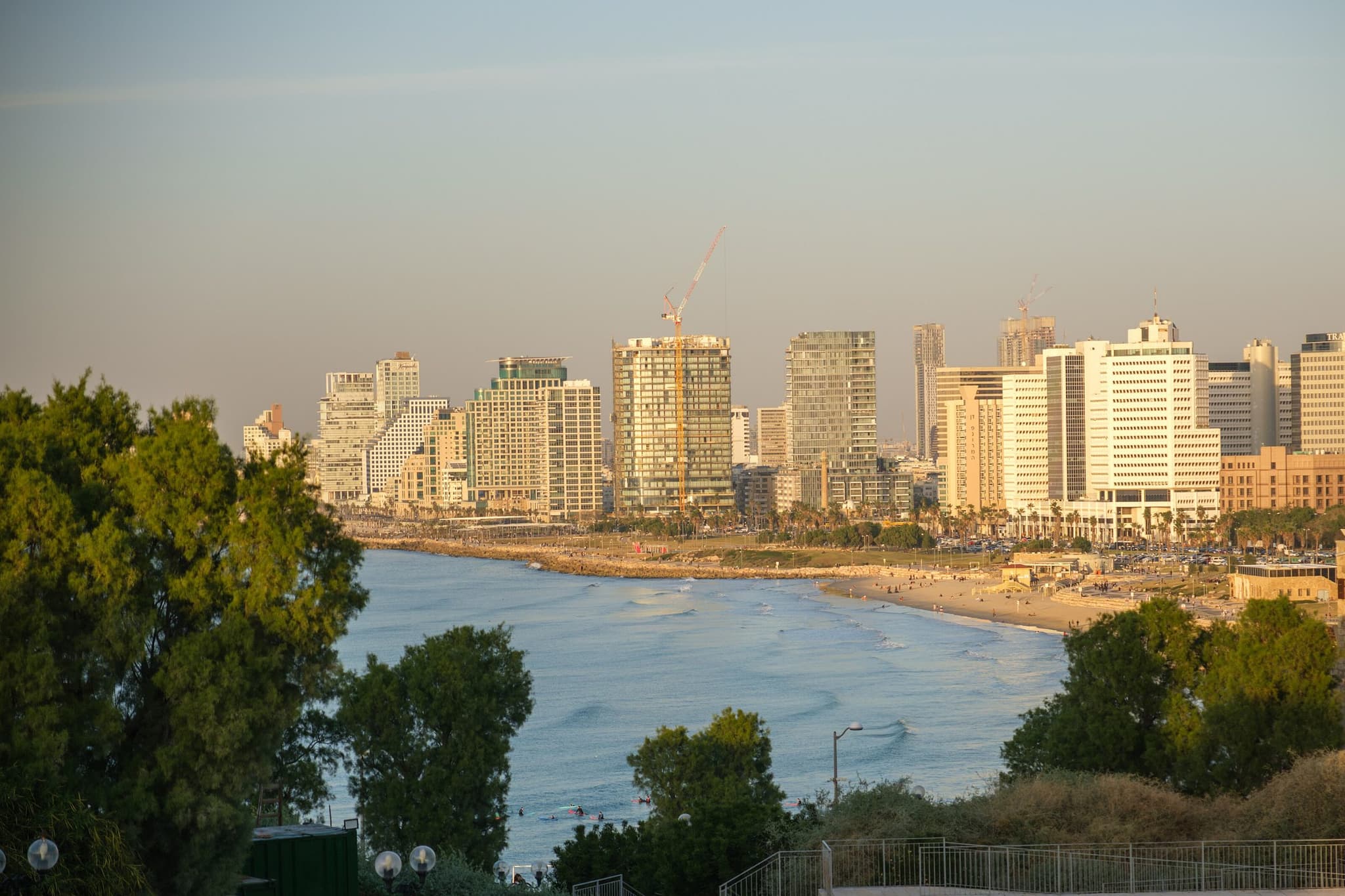 The Tel Aviv skyline seen from the hill of old Jaffa: trees in the foreground, then the bay with its beach and the towers along the coast, in the late afternoon light.