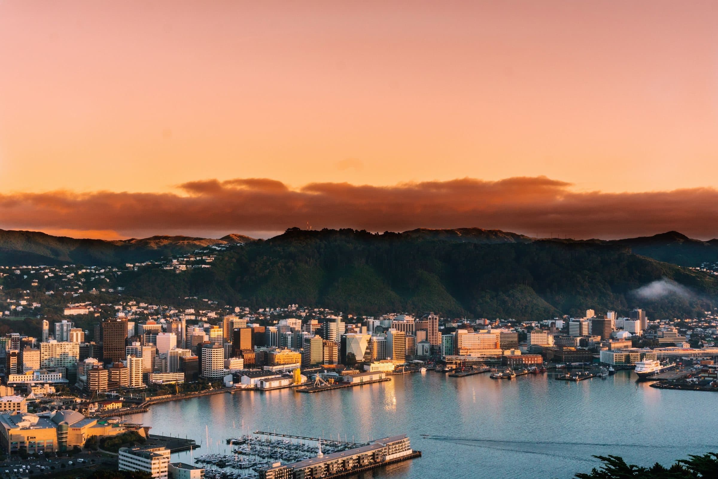 Wellington bij zonsopkomst, gezien vanaf Mount Victoria: de haven, het zakencentrum en de beboste heuvels erachter.
